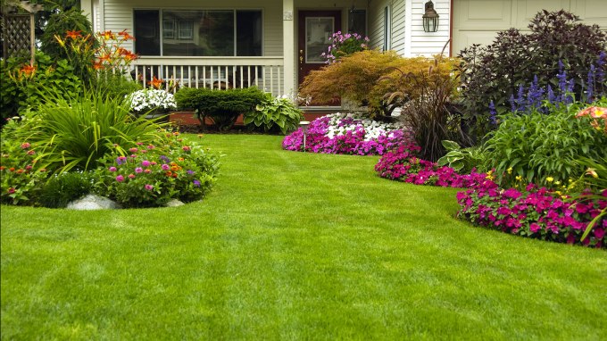 Lawn Care Charlestown